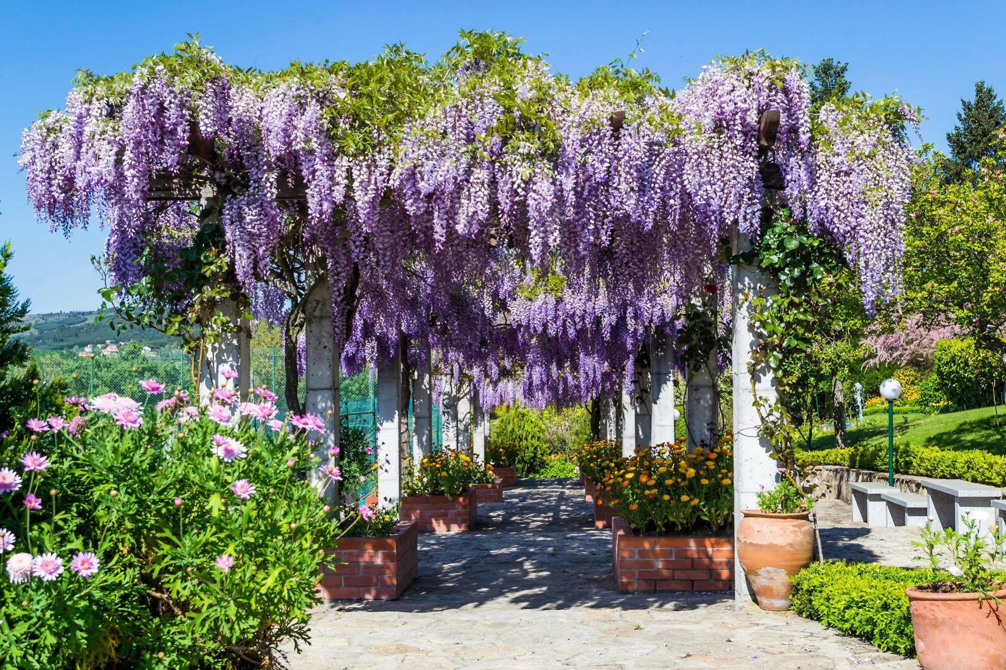 Hotel Belsol Belmonte  Bagian luar foto